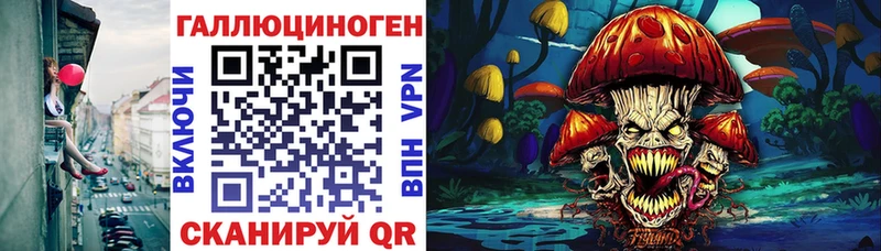 Купить закладки  Гатчина  Галлюциногенные грибы Cubensis 