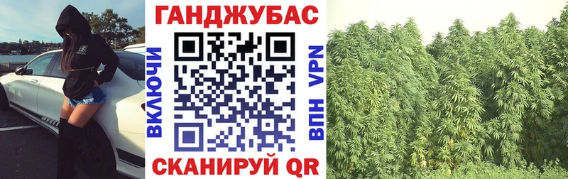 Купить  Гатчина  МАРИХУАНА SATIVA & INDICA 